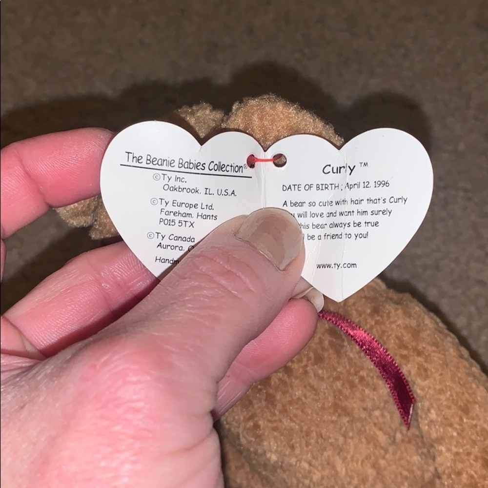 Curly the bear - Picture 2 of 2